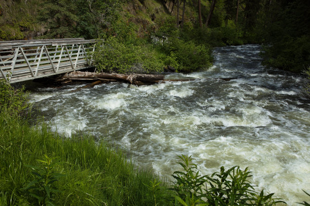 rapids