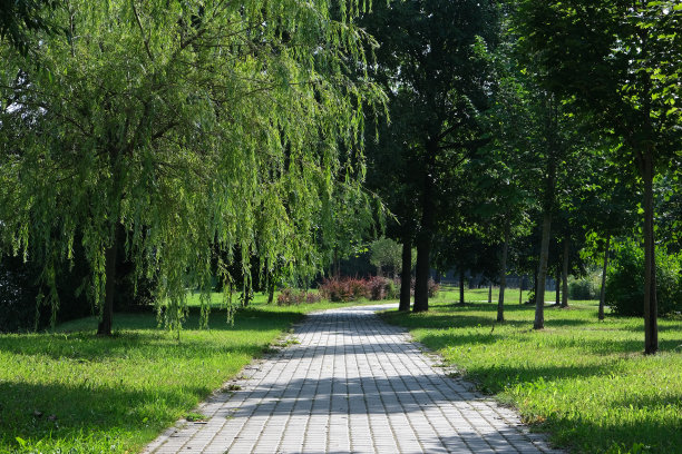 trail