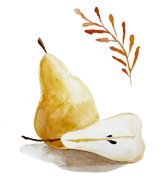 pyrus