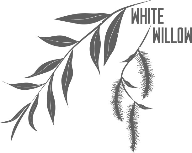 willow