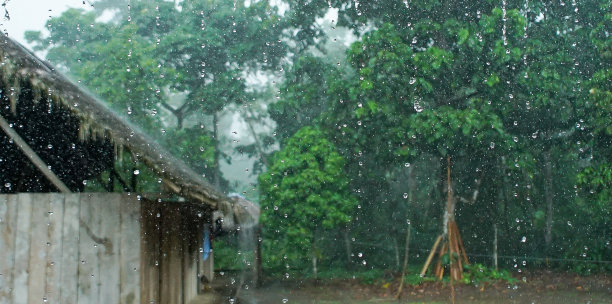 drizzle