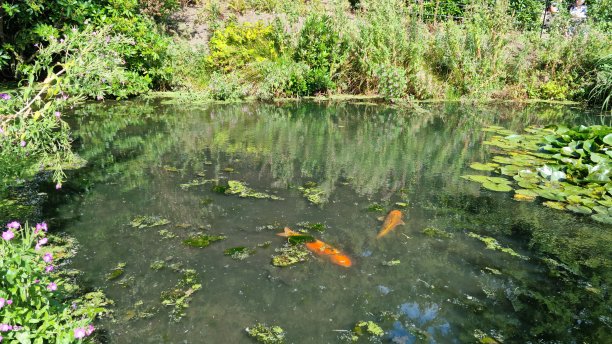 ponds