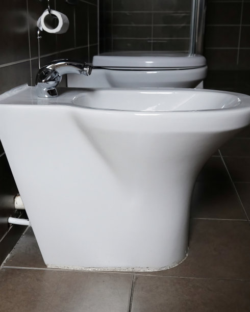 bidet