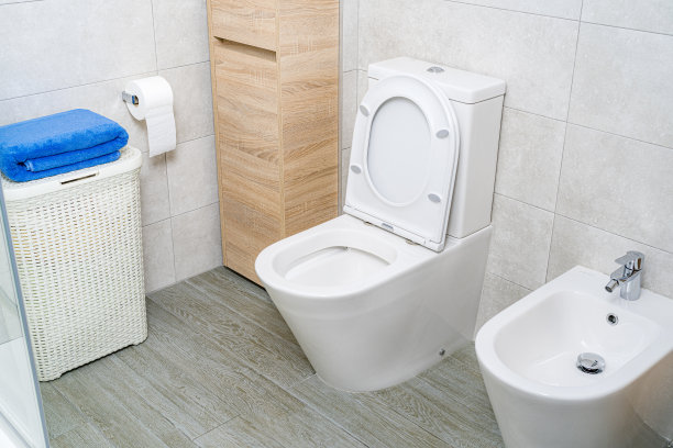 bidet