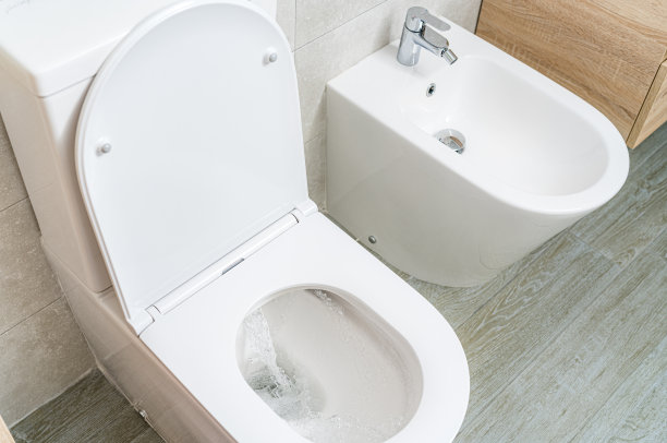 bidet