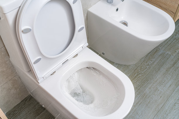 bidet