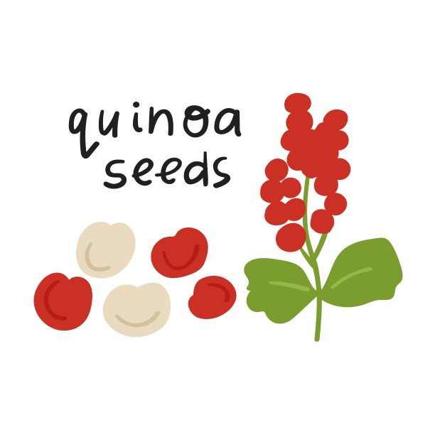 quinoa