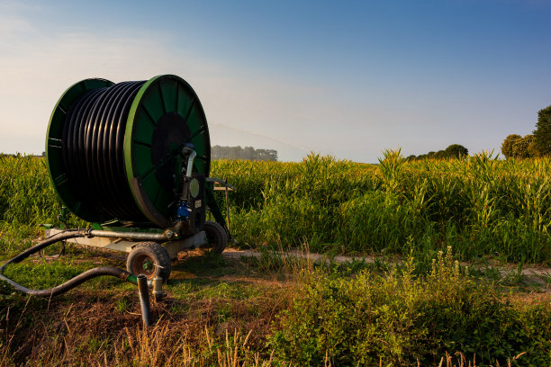 irrigation