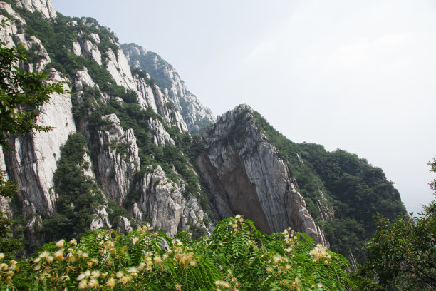 古风河南背景河南印象