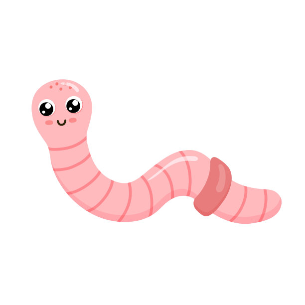 nymph
