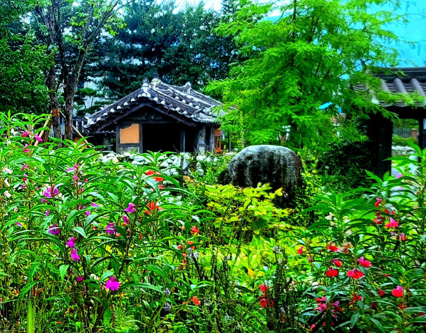 韩国农村小院
