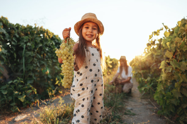 摘葡萄的少女