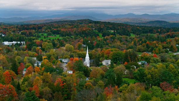 vt