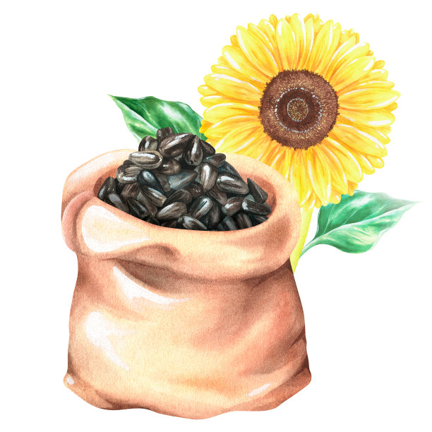 向日葵瓜子