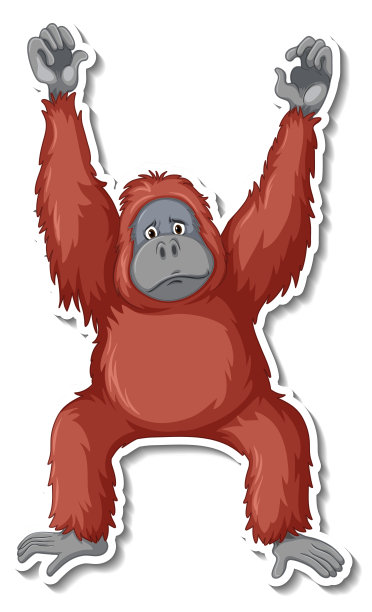 pongo
