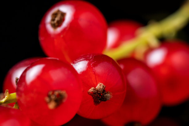redcurrant