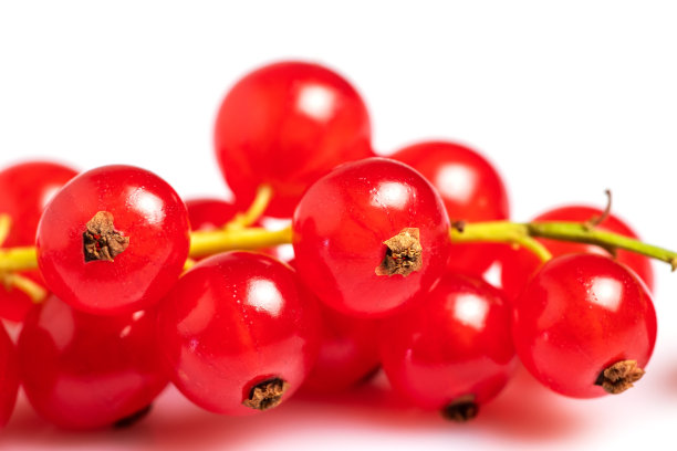 redcurrant