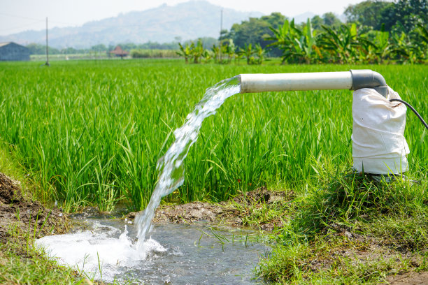 irrigation