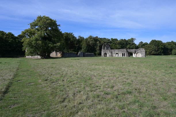 surrey