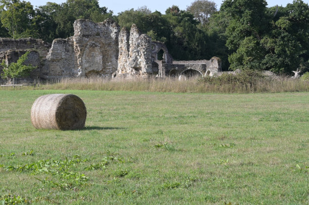 surrey