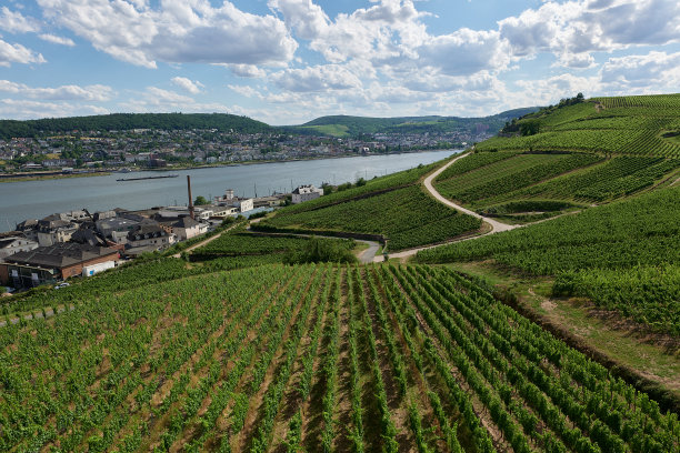 rudesheim