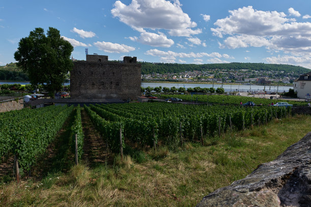 rudesheim