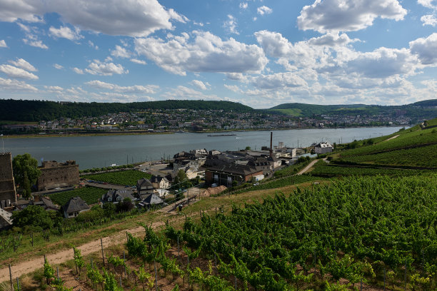 rudesheim