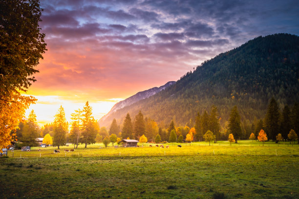 tyrol