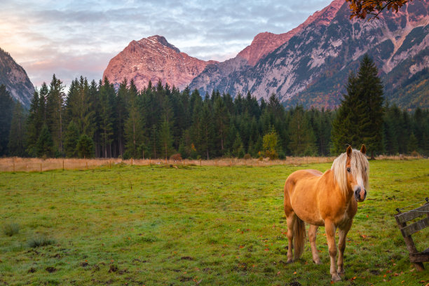 tyrol