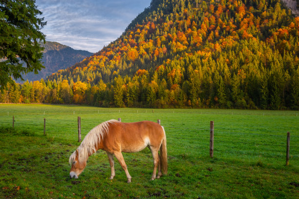 tyrol