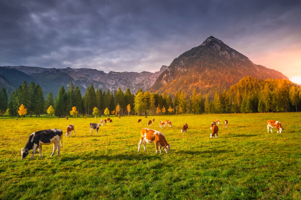 tyrol