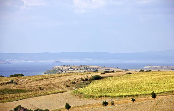 gallipoli
