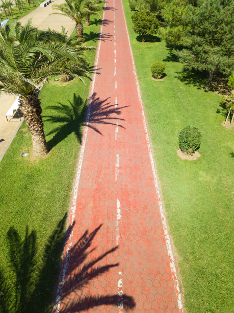 pathway