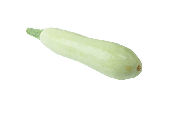 courgette