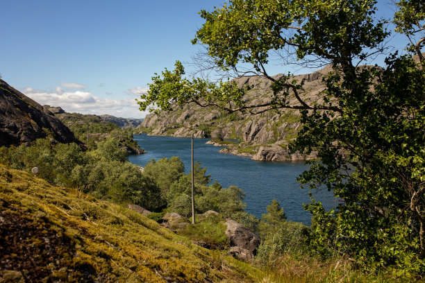 rorbu