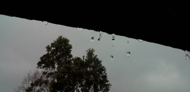 drizzle