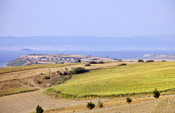 gallipoli