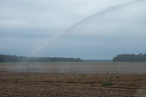 sprinkler