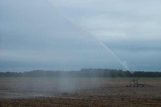 sprinkler