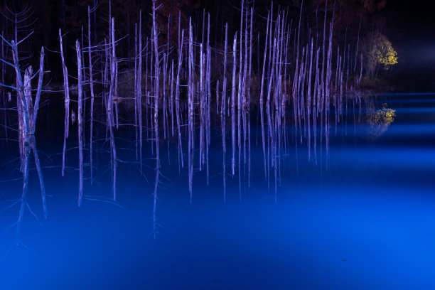 fen
