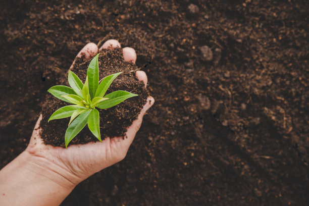 绿色发布会背景