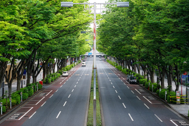 avenue