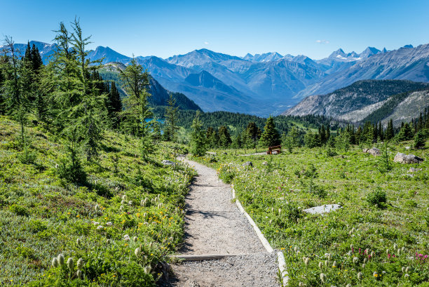trail