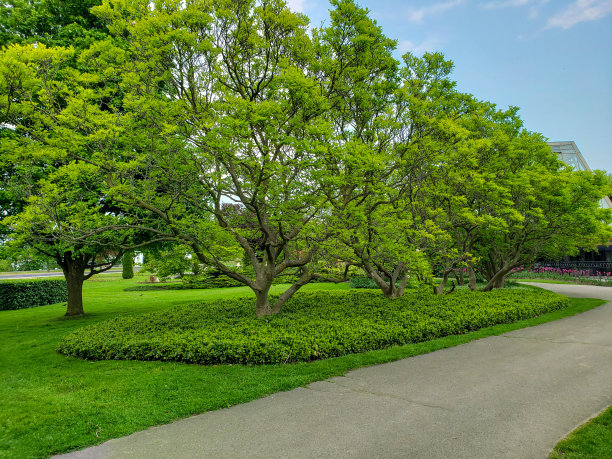 horticulture