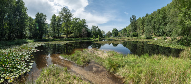 ponds