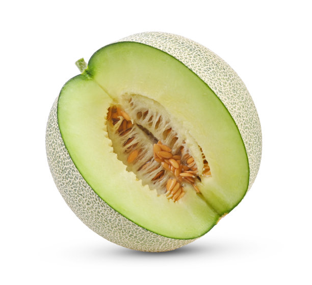 cantaloupe