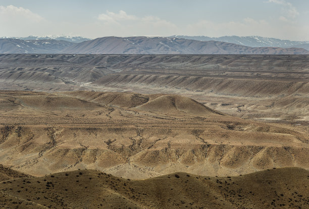 desolate