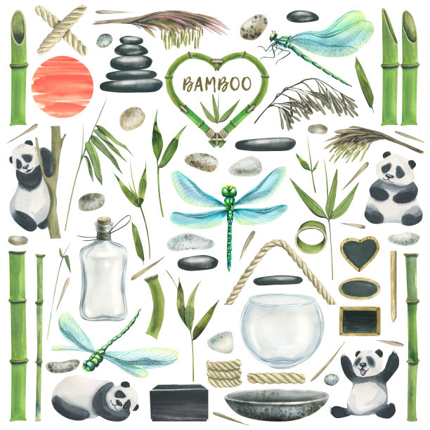 竹,熊猫,植物