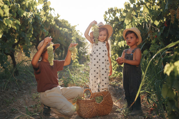 摘葡萄的少女