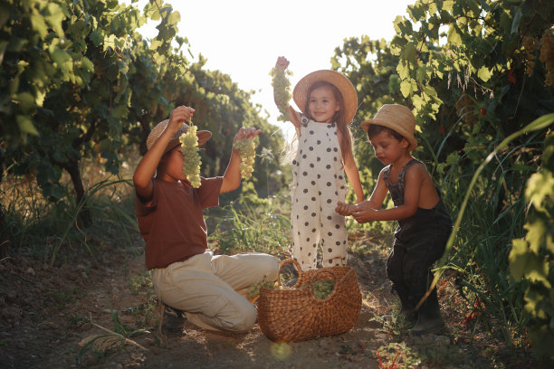 摘葡萄的少女